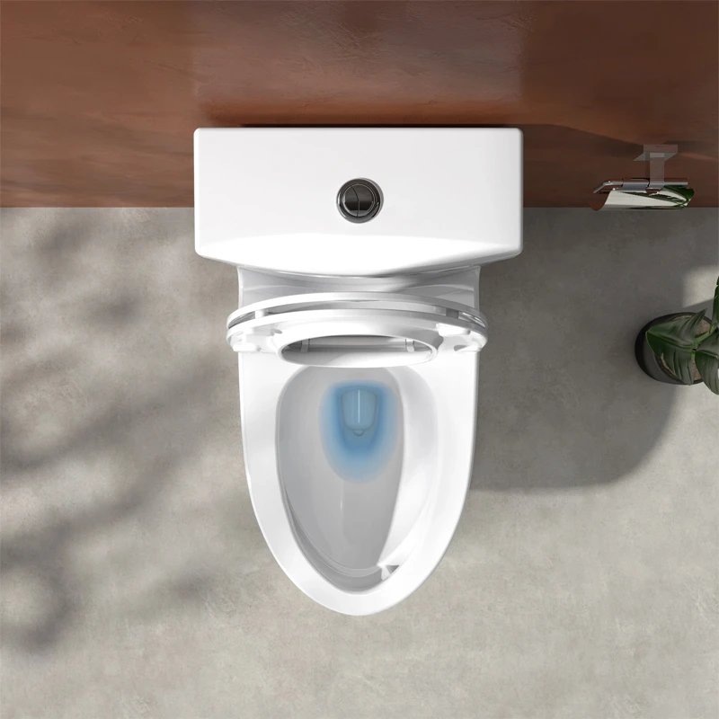 Ảnh Bồn cầu 1 khối Viglacera V62 4