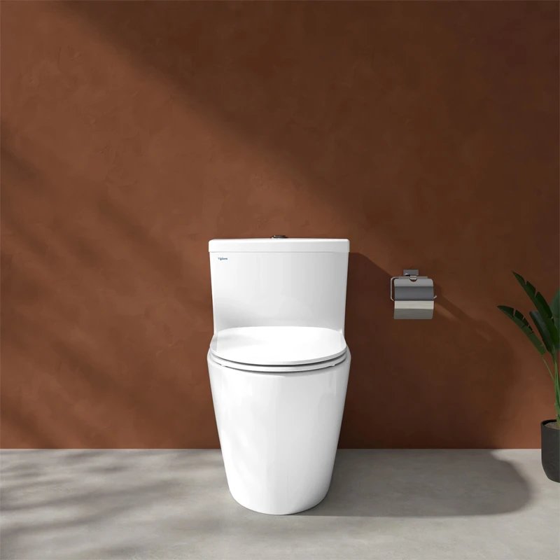 Ảnh Bồn cầu 1 khối Viglacera V62 2