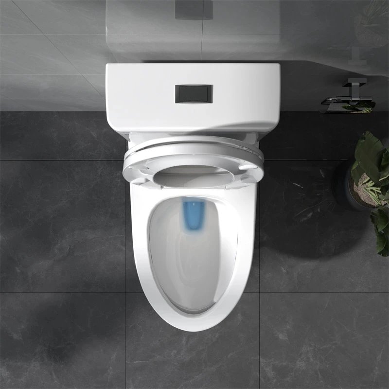 Ảnh Bồn cầu 1 khối Viglacera V64 3