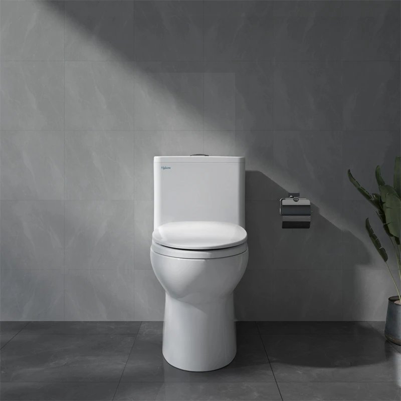 Ảnh Bồn cầu 1 khối Viglacera V64 2