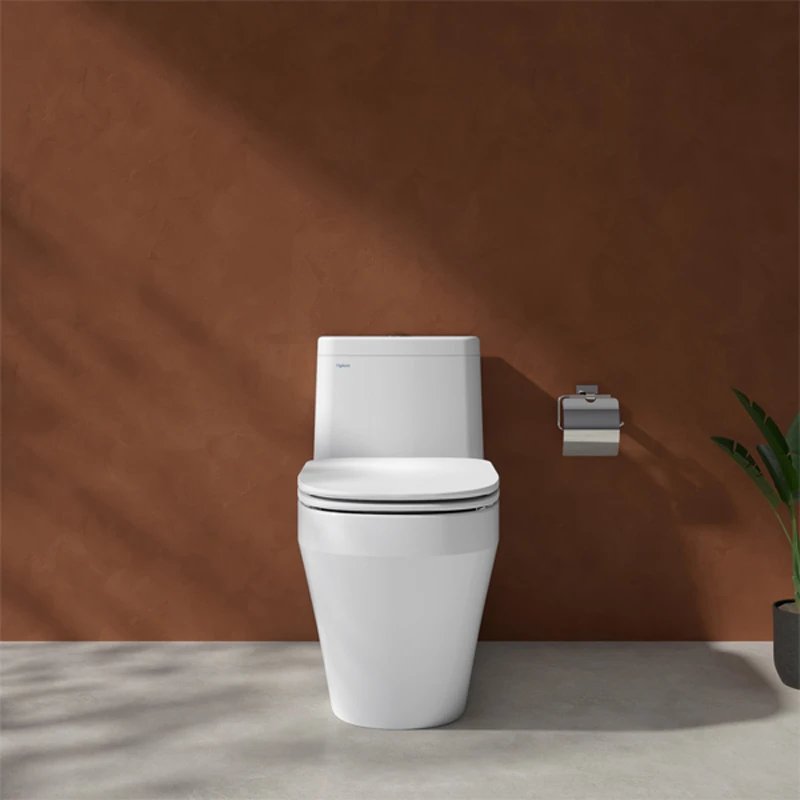 Ảnh Bồn cầu 1 khối Viglacera V68 4