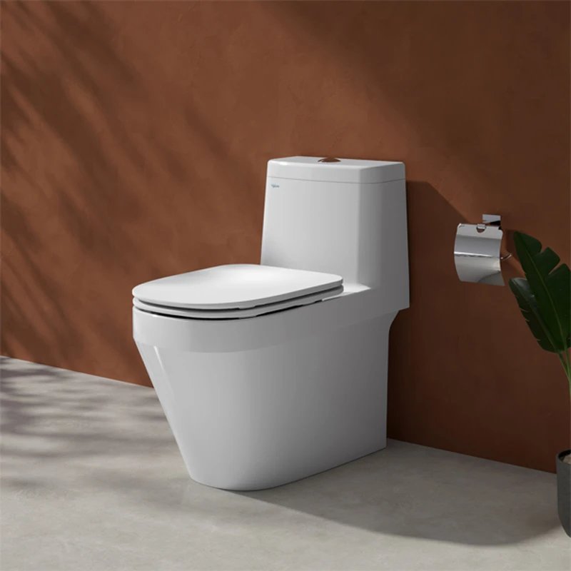 Ảnh Bồn cầu 1 khối Viglacera V68 2