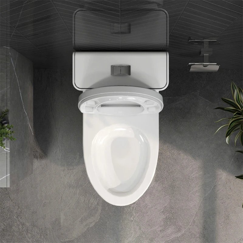 Ảnh Bồn cầu 1 khối Viglacera V808 4