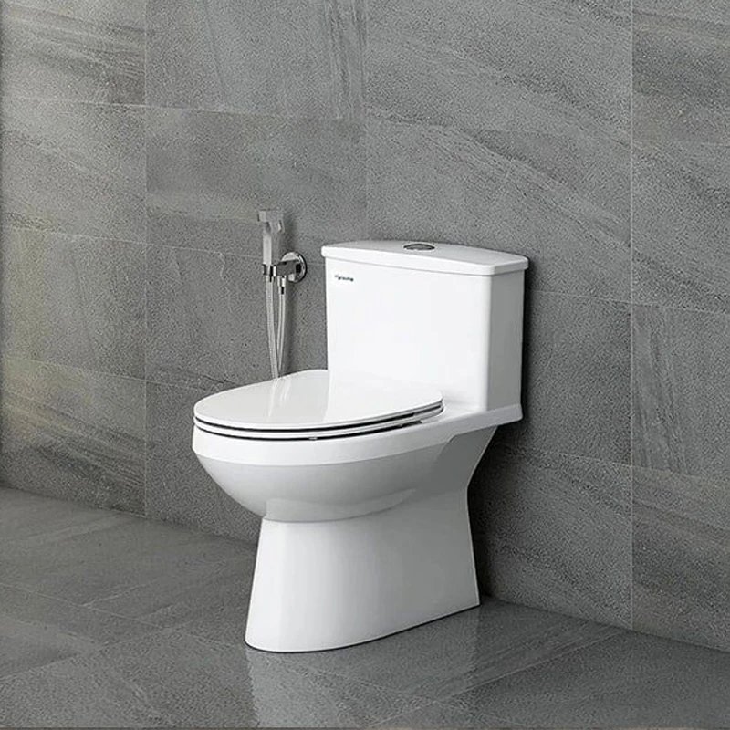 Ảnh Bồn cầu 1 khối Viglacera V811 2