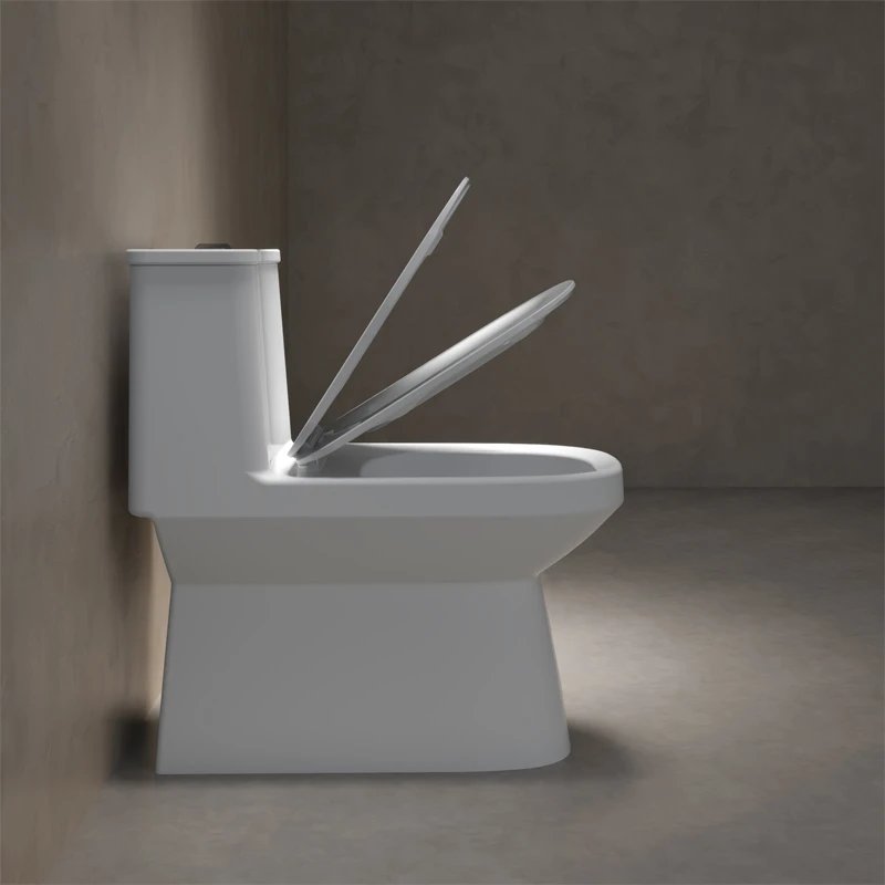 Ảnh Bồn cầu 1 khối Viglacera V816 4