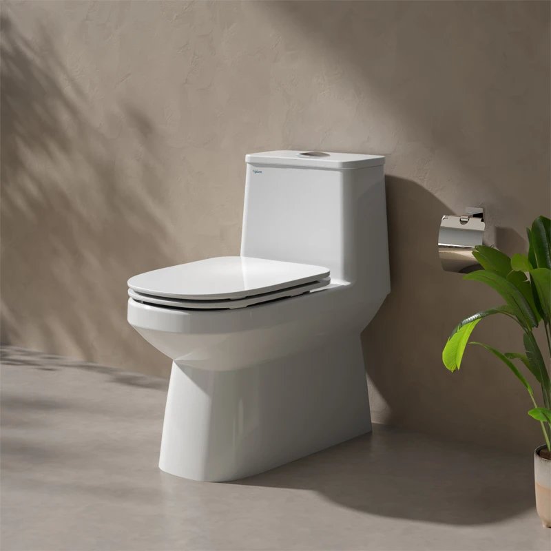 Ảnh Bồn cầu 1 khối Viglacera V816 2