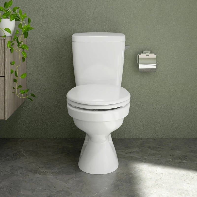 Ảnh Bồn cầu 2 khối Sanfi S201 4
