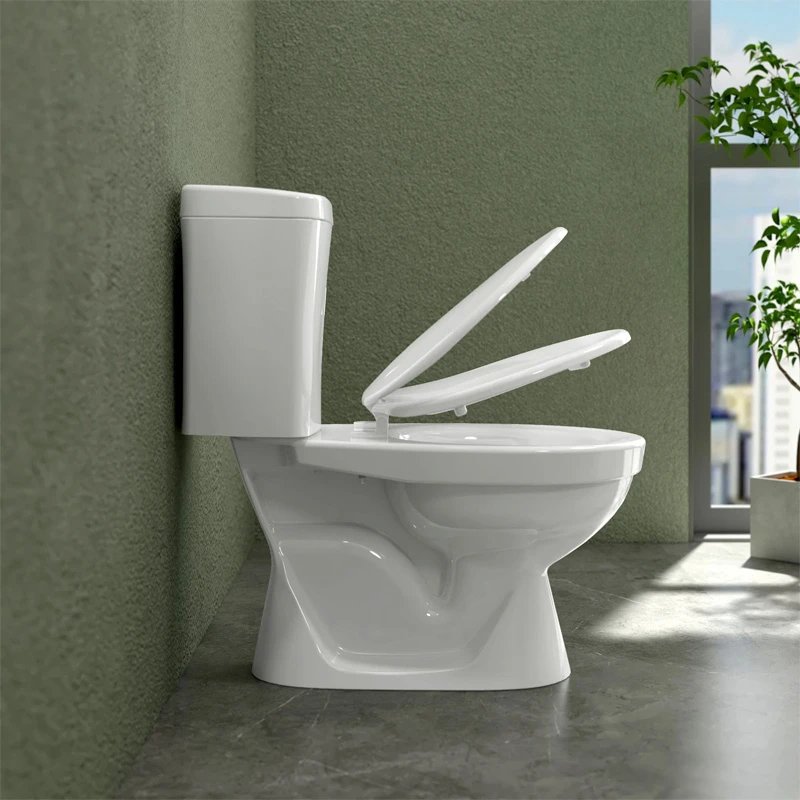 Ảnh Bồn cầu 2 khối Sanfi S201 3