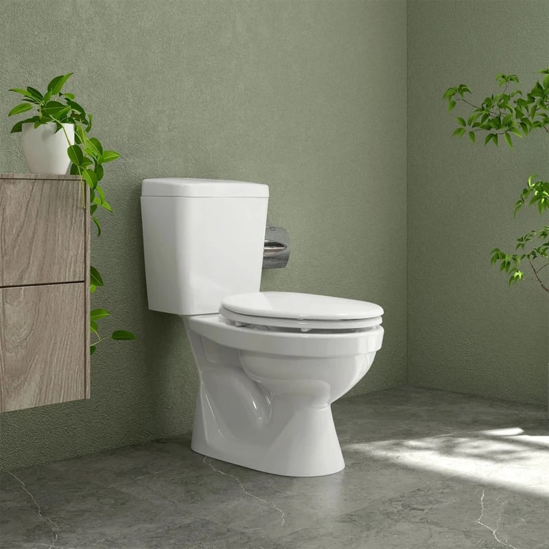 Ảnh Bồn cầu 2 khối Sanfi S201 3