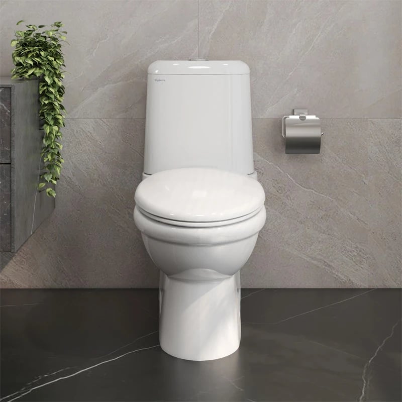 Ảnh Bồn cầu 2 khối Viglacera VI107 4