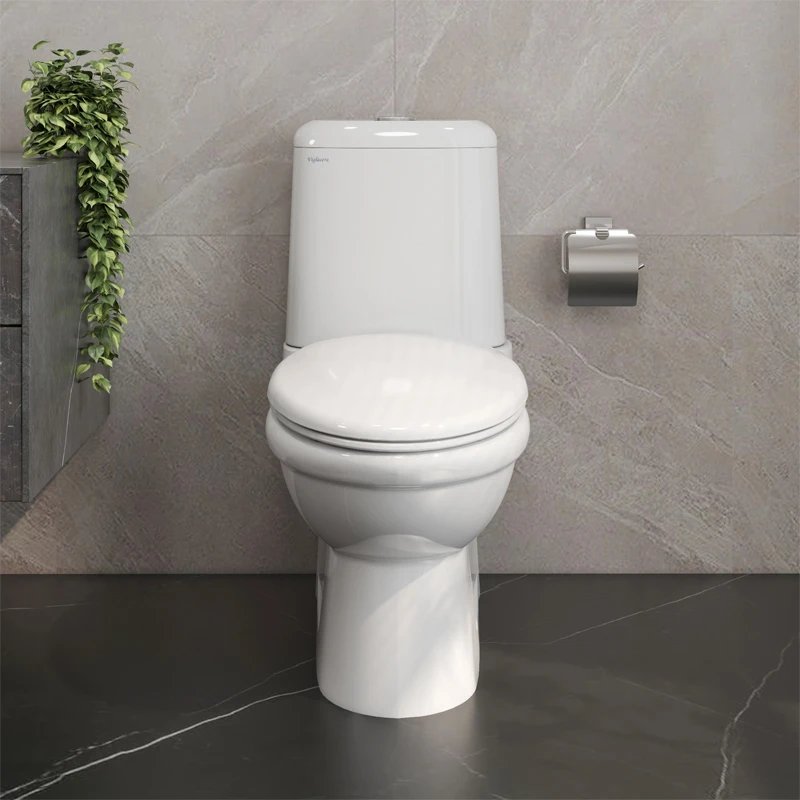 Ảnh Bồn cầu 2 khối Viglacera VI107 2