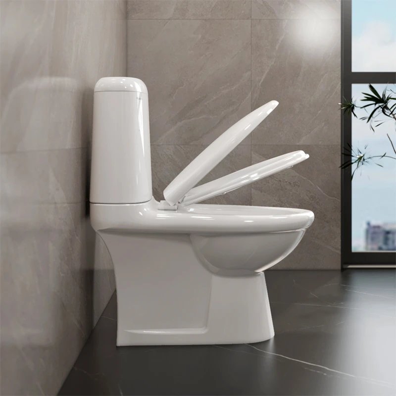 Ảnh Bồn cầu 2 khối Viglacera VI107 3