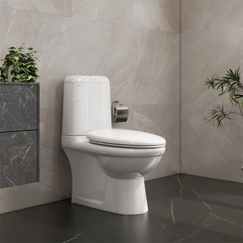 Ảnh Bồn cầu 2 khối Viglacera VI107 3