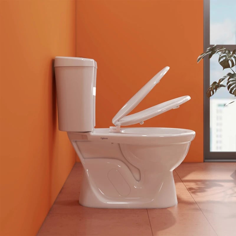 Ảnh Bồn cầu 2 khối Viglacera VI28 5
