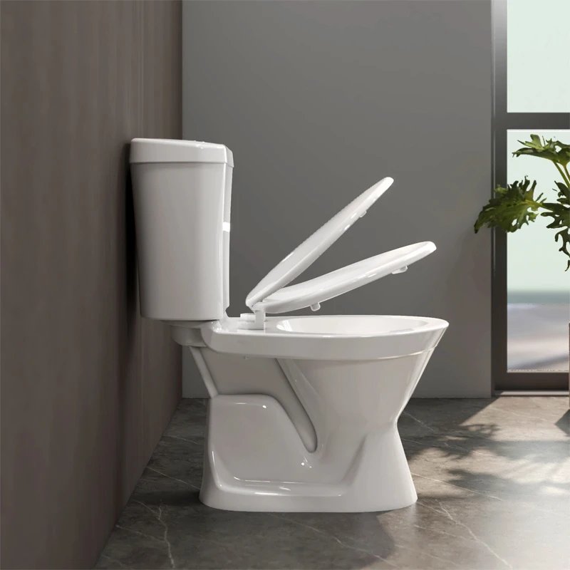 Ảnh Bồn cầu 2 khối Viglacera VI66 3