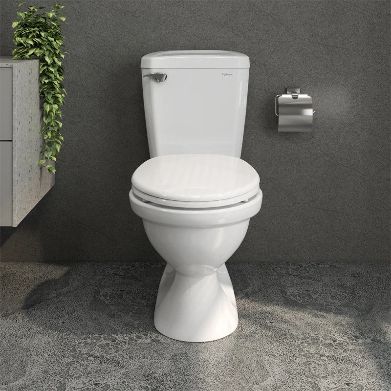 Ảnh Bồn cầu 2 khối Viglacera VI77 2