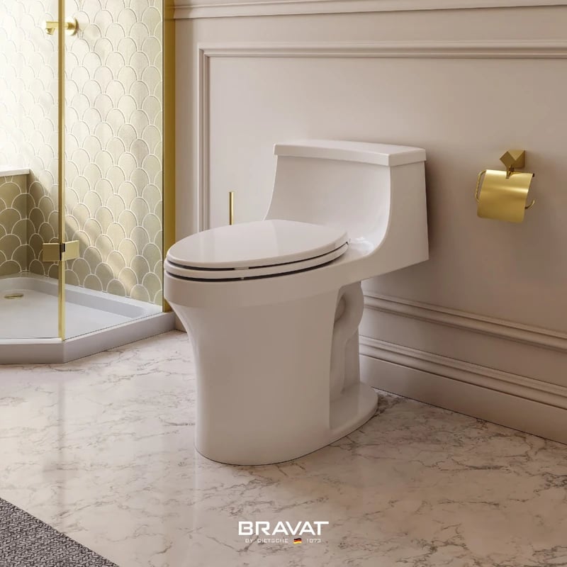 Ảnh Bồn cầu 1 khối Bravat C2183W-3A-ENG 3