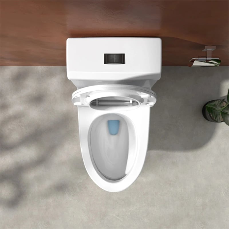 Ảnh Bồn cầu 1 khối Viglacera V45M 5