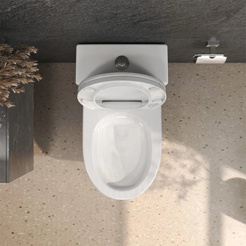 Ảnh Bồn cầu 1 khối Viglacera V823 3