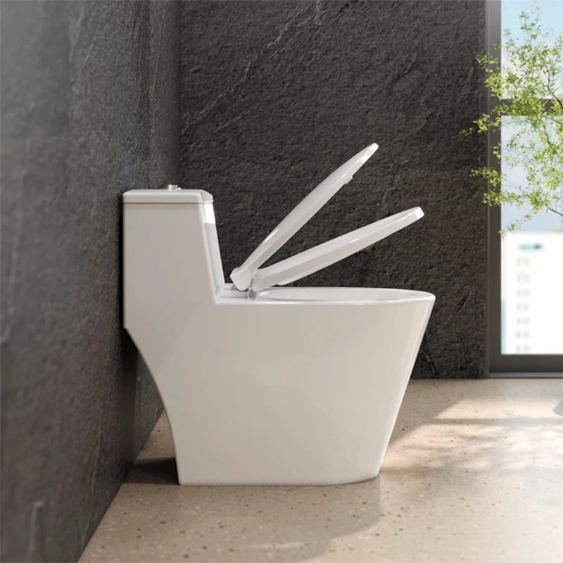 Ảnh Bồn cầu 1 khối Viglacera V823 2