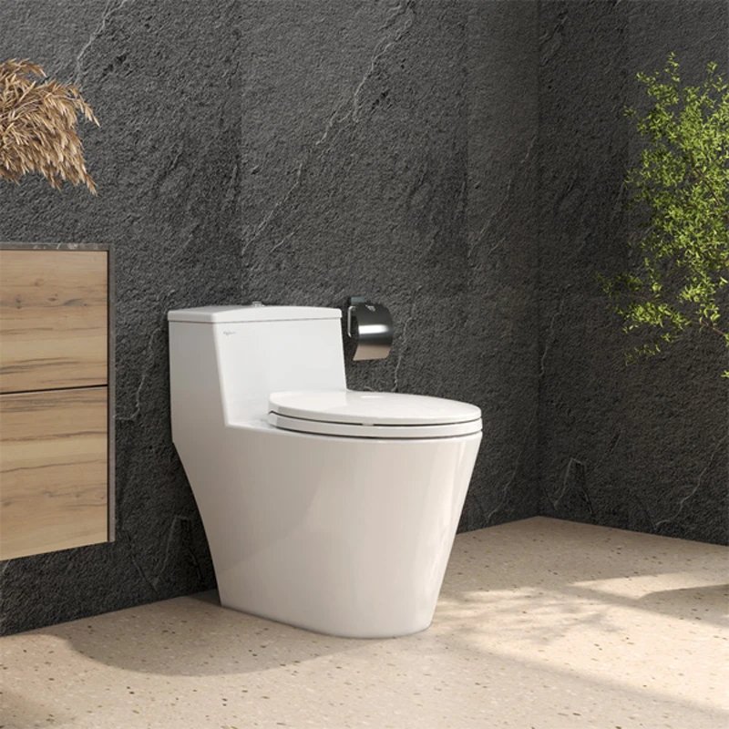 Ảnh Bồn cầu 1 khối Viglacera V823 2