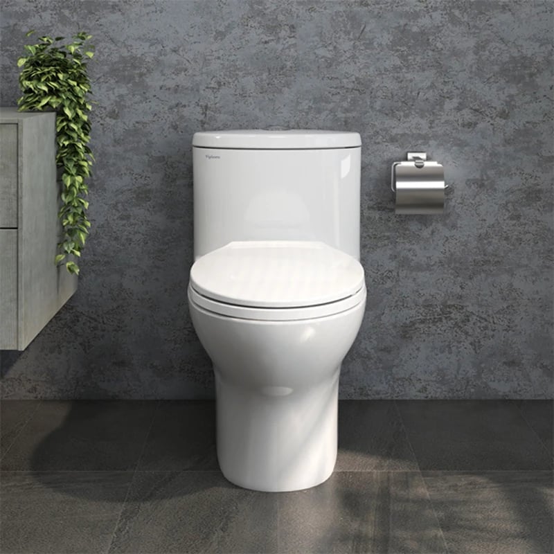 Ảnh Bồn cầu 1 khối Viglacera V37S 3