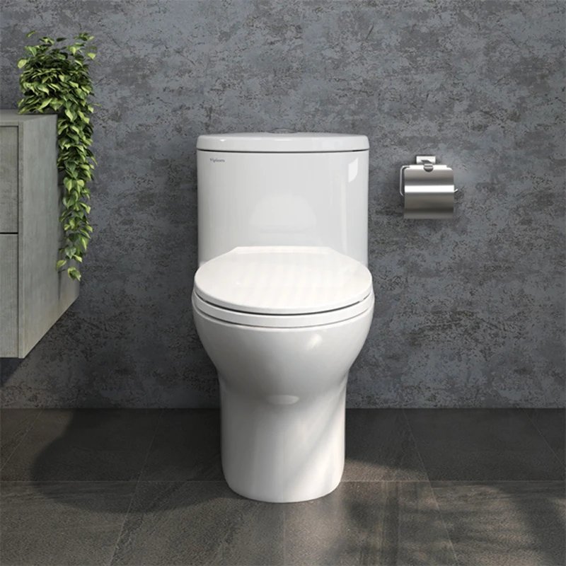 Ảnh Bồn cầu Viglacera V37 (V37M) 2