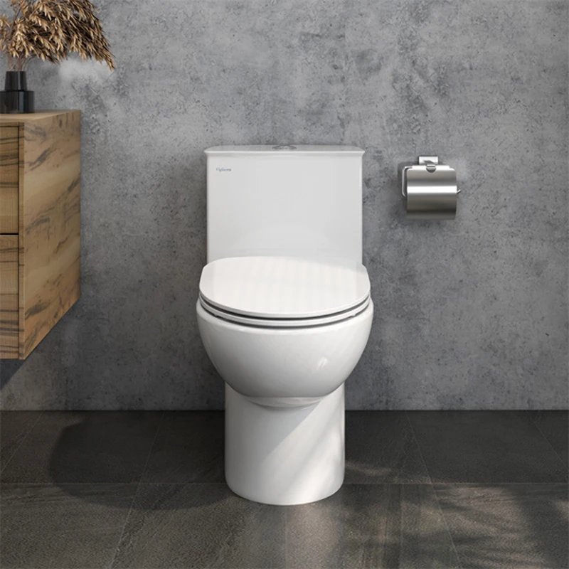 Ảnh Bồn cầu 1 khối Viglacera V819 2