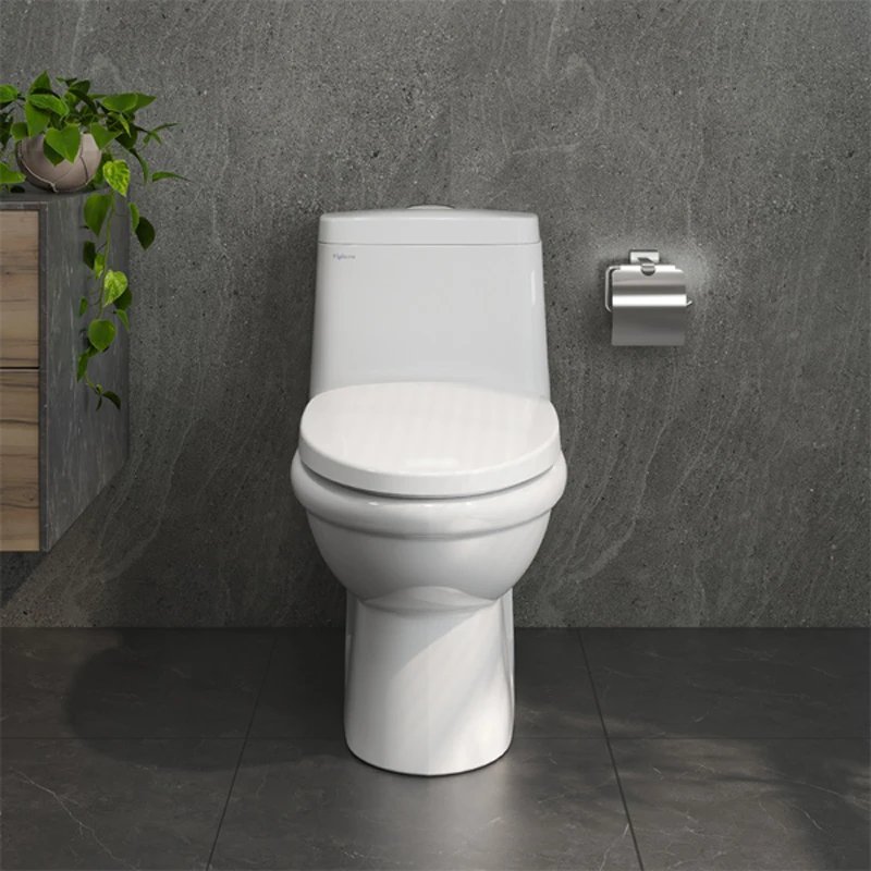 Ảnh Bồn cầu 1 khối Viglacera V825 2