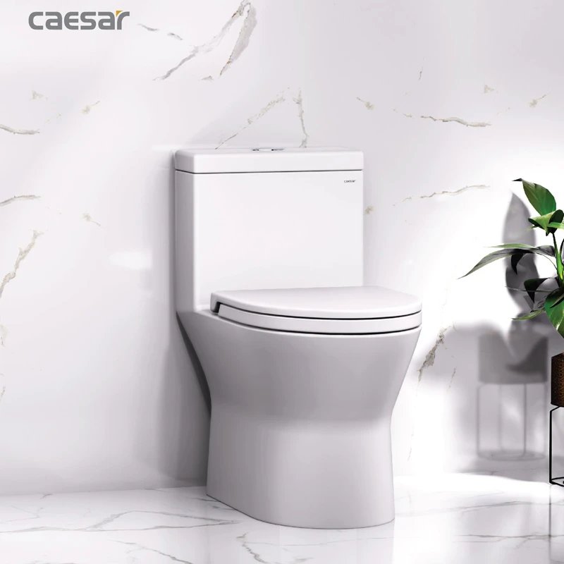 Ảnh Bồn cầu 1 khối Caesar CD1374 2