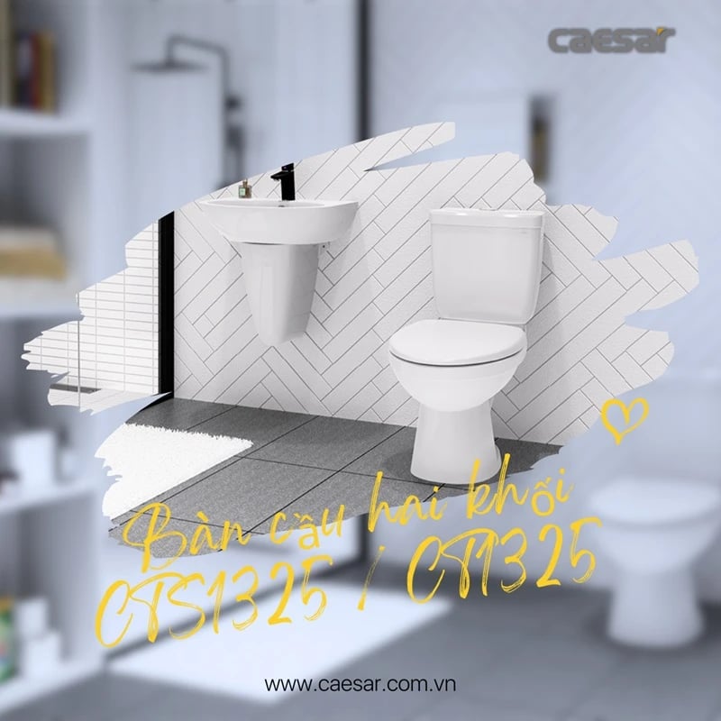 Ảnh Bồn cầu 2 khối Caesar CT1325 / CTS1325 3