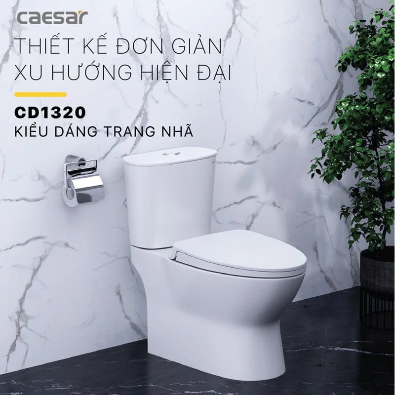 Ảnh Bồn cầu 2 khối Caesar CD1320 2
