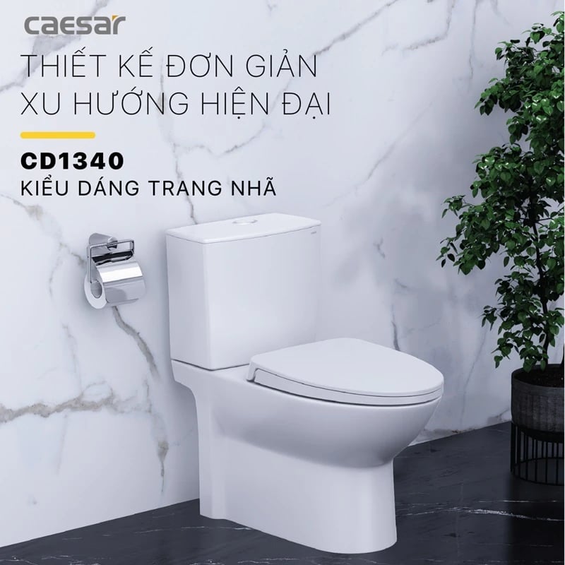Ảnh Bồn cầu 2 khối Caesar CD1340 2