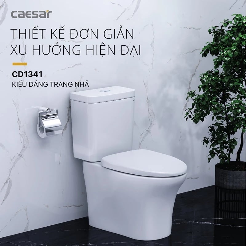 Ảnh Bồn cầu 2 khối Caesar CD1341 3