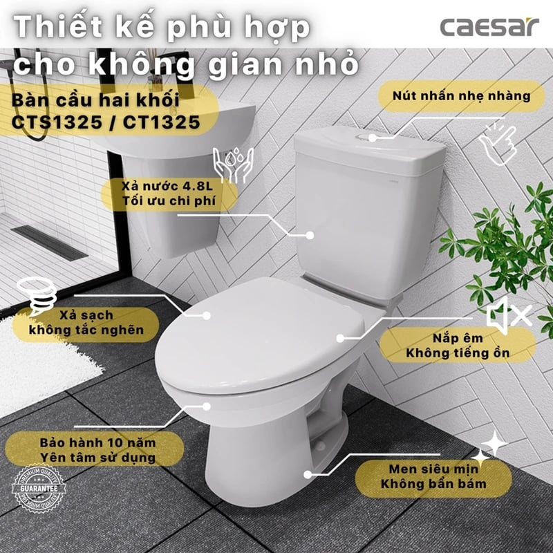 Ảnh Bồn cầu 2 khối Caesar CDS1325 2