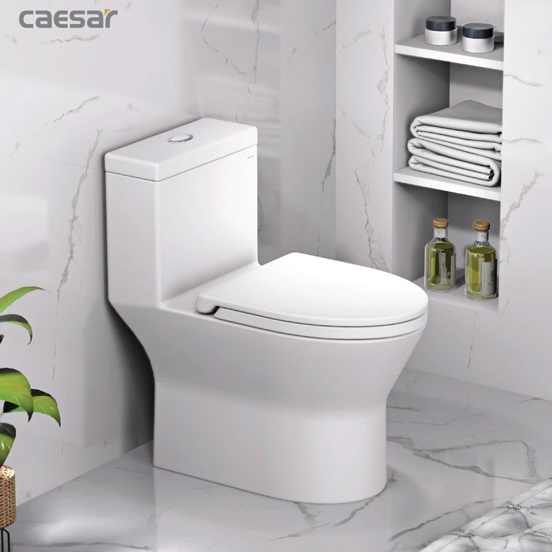 Ảnh Bồn cầu 1 khối Caesar CD1374 3