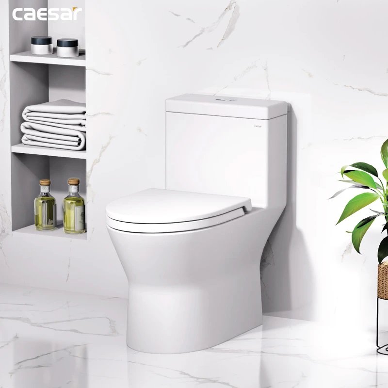 Ảnh Bồn cầu 1 khối Caesar CD1374 4