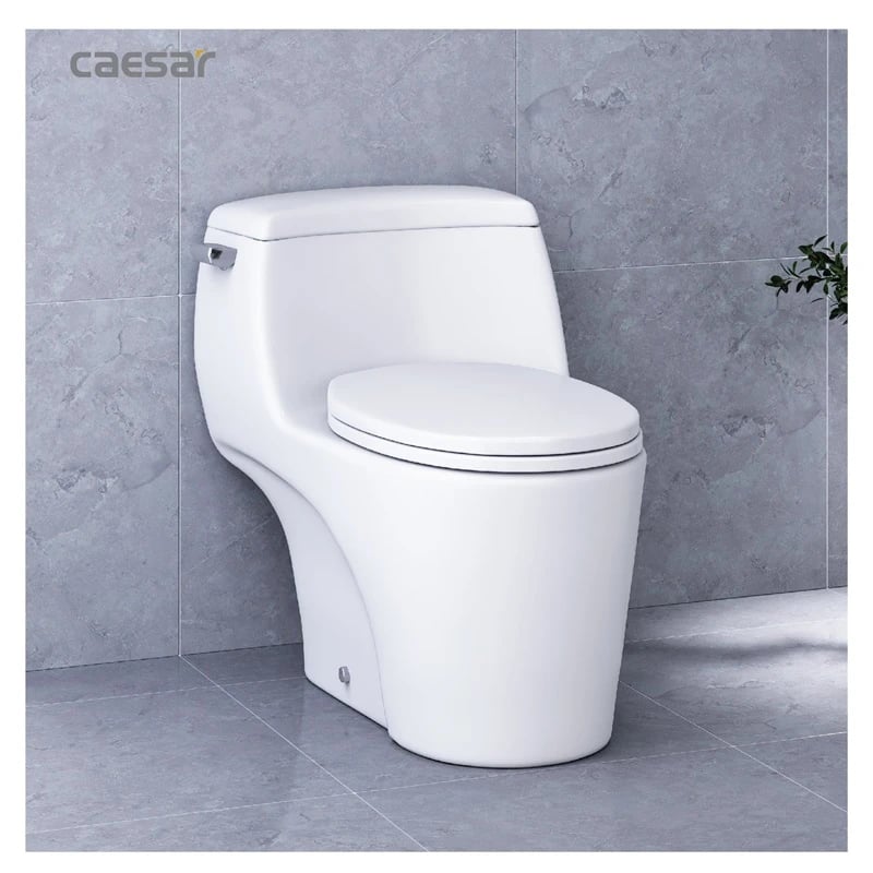 Ảnh Bồn cầu 1 khối Caesar C1353 4
