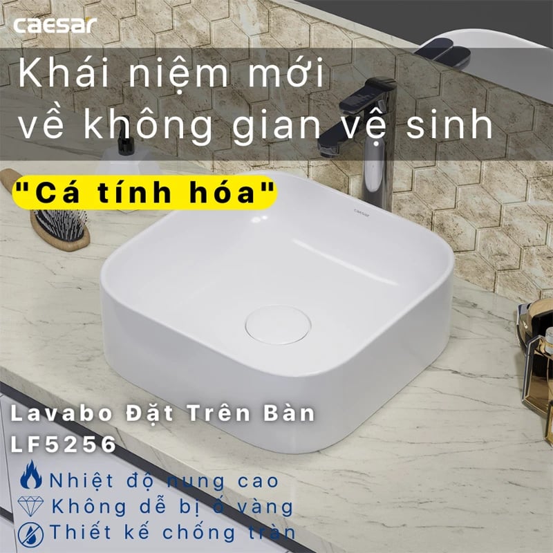 Ảnh Chậu rửa đặt bàn Caesar LF5256 8