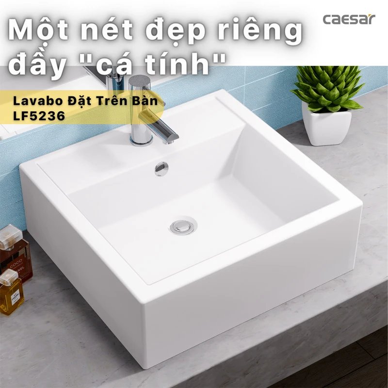 Ảnh Chậu rửa Caesar LF5236 2