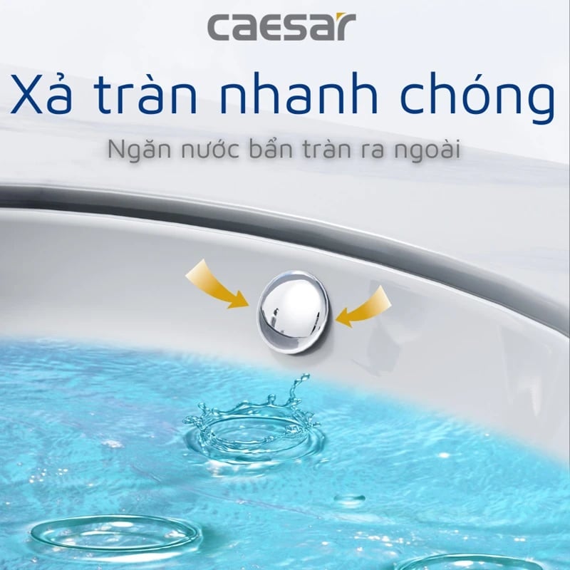 Ảnh Chậu rửa âm bàn Caesar L5113 2