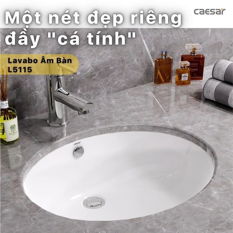 Ảnh Chậu rửa âm bàn Caesar L5115 3