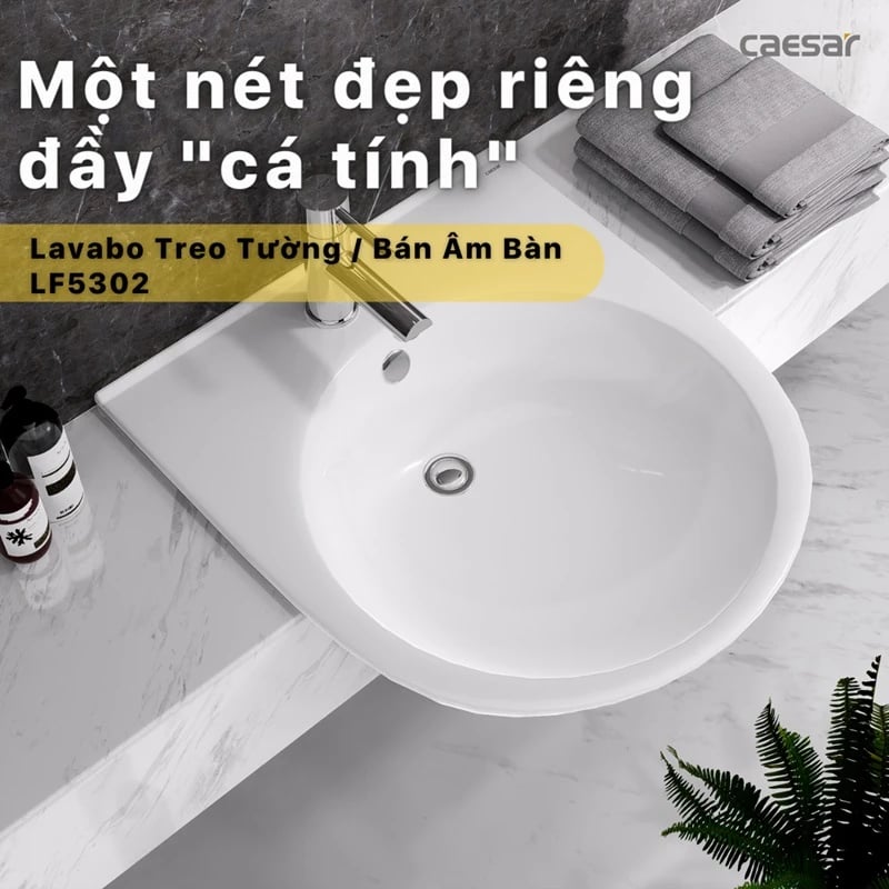 Ảnh Chậu rửa đặt bàn Caesar LF5302 2