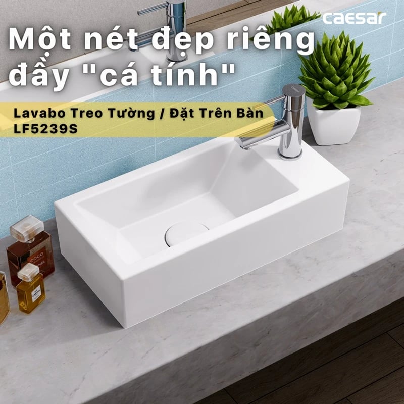 Ảnh Chậu rửa treo tường Caesar LF5239S 4
