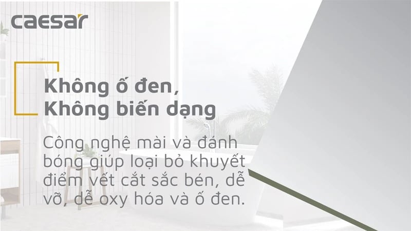 Ảnh Gương Caesar M936 4