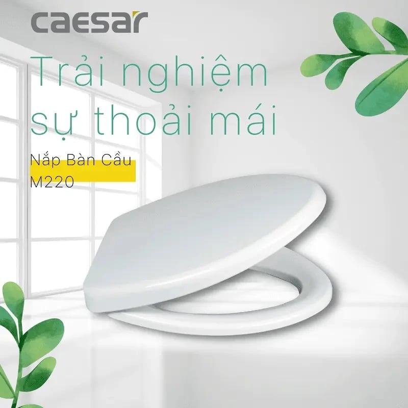 Ảnh Nắp bồn cầu Caesar M220 thường 2