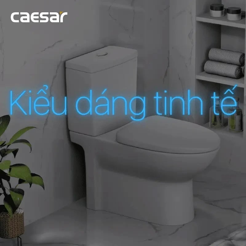 Ảnh Nắp bồn cầu Caesar M232 nhựa ABS 2