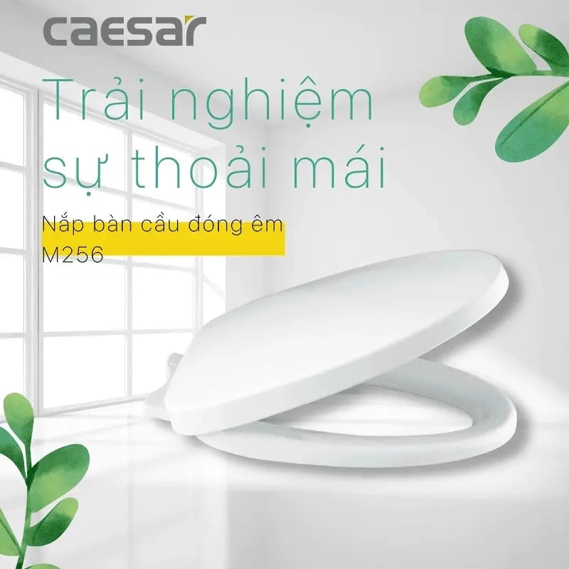 Ảnh Nắp bồn cầu Caesar M256 2