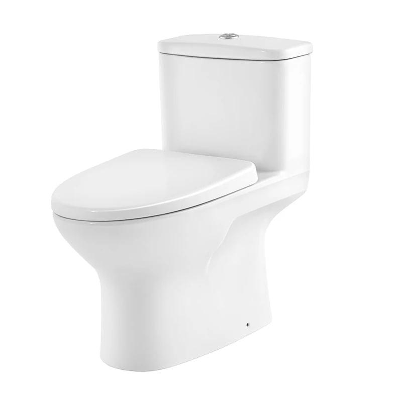 Ảnh Bồn cầu 1 khối Cotto C105337 3