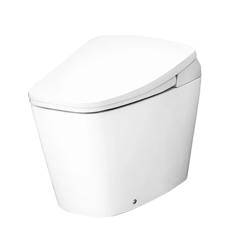 Ảnh Bồn cầu điện tử Cotto C10207 4